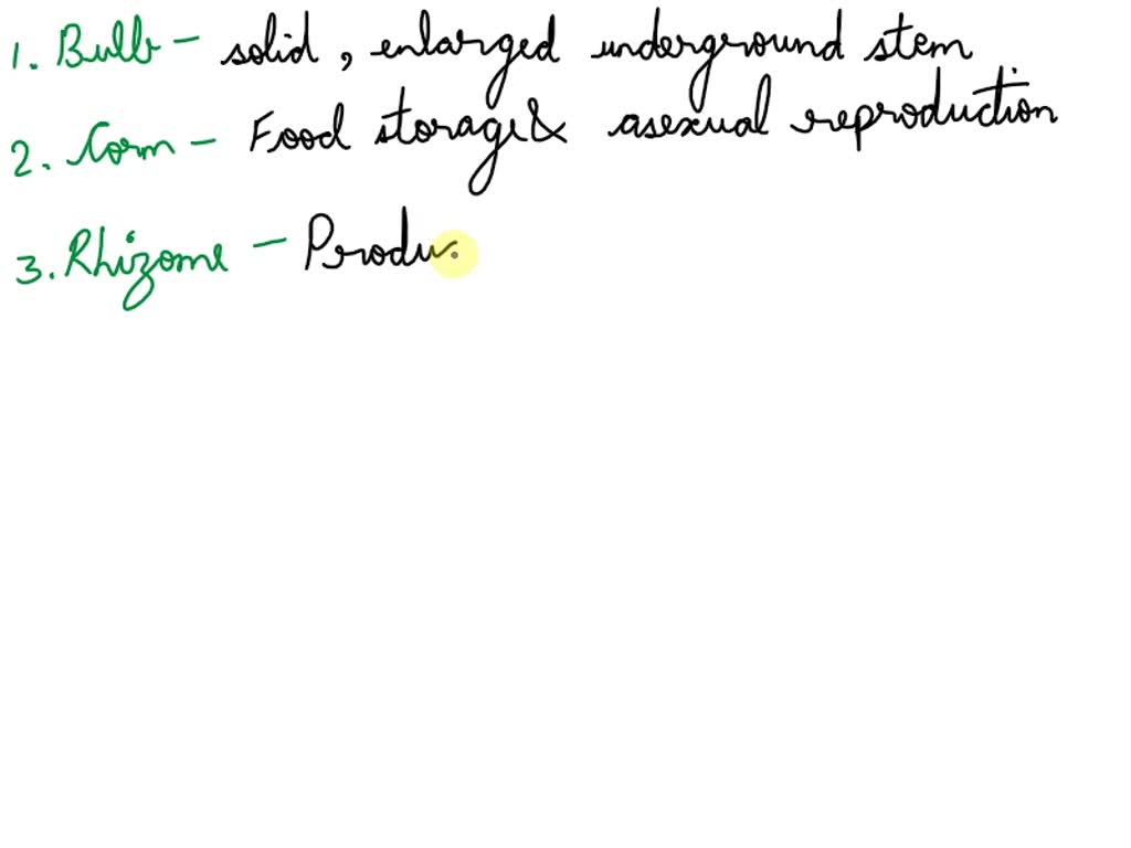 SOLVED Match the following terms and definitions. 1. bulb horizontal
