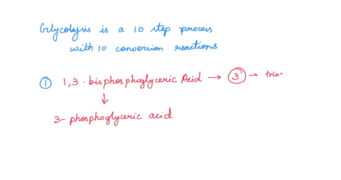 glycolysis-produces-atp-by-a-phosphorylating-organic-molecules-in-the-priming-reactions-b-the-produc-10013