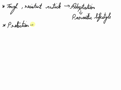 class-trematoda-flukes-flukes-are-small-leaf-shaped-parasitic-flatworms-with-complex-life-cycles-they-are-generally-internal-parasites-of-vertebrates-including-humans-a-protoplasmic-but-nonc-53843