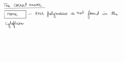 how-many-kinds-of-rna-polymerase-found-in-the-cytoplasm-of-eukaryotic-cells-1-rna-pol-i-2-rna-pol-i-and-ii-thousands-none-76278