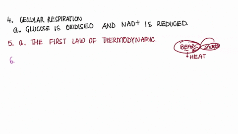 4-during-certain-stages-of-stages-of-cellular-respiration-electrons-are-transferred-from-glucose-molecules-to-a-molecule-called-nicotinamide-adenine-dinucleotide-nad-in-this-example-a-glucos-42684