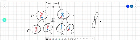 in-meiosis-a-meiosis-ii-reduces-the-chromosome-number-from-diploid-to-haploid-b-dna-replicates-bet-3-54467