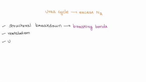 the-urea-cycle-rids-the-body-of-excess-nitrogen-by-converting-nontoxic-form-that-can-be-excreted-in-the-urine-it-utilizes-_-onc-nitrogen-atom-from-carbamoyl-phosphate-and-one-nitrogen-atom-f-66096