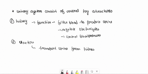 identify-the-structures-that-compose-the-urinary-system-and-provide-a-description-of-the-general-function-of-each-11867