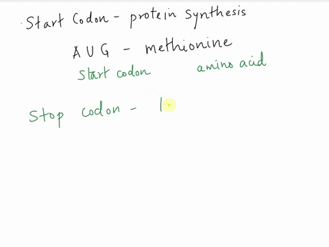 please-help-asap-what-are-the-three-stop-codons-what-is-the-start-codon-60268