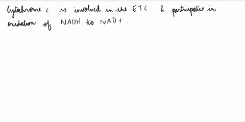 which-of-the-following-participates-in-the-oxidation-of-nadh-to-nad-there-may-be-one-or-more-correct-answers-a-citric-acid-cycle-b-cytochrome-c-fad-d-fmn-part-of-complex-1-e-glyoxylate-cycle-89522
