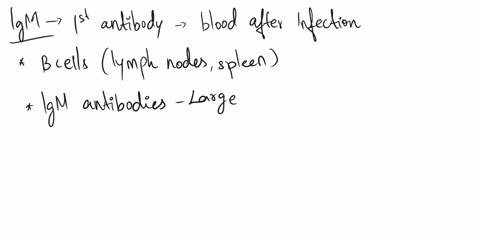 60-the-presence-of-which-of-the-following-antibodies-indicates-a-current-infection-rather-than-a-previous-infection-or-vaccination-a-igg-b-igm-c-iga-d-jg-e-jge-61-antigens-coated-with-antibo-77833