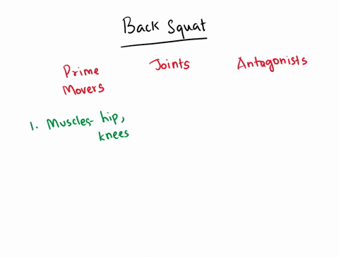 jointsinvolved-prime-movers-what-are-the-joints-muscles-primary-movers-and-antagonist-involved-during-a-back-squat-antagonists-36672