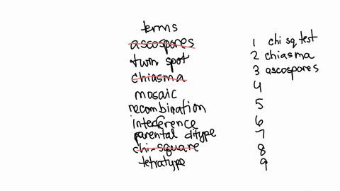 drag-the-terms-on-the-left-to-their-matching-descriptions-on-the-right-note-that-some-terms-do-not-have-match-ascospores-a-statistical-method-for-testing-the-fit-between-observed-and-expecte-51033