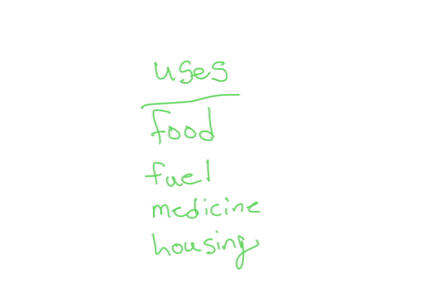 what-are-the-daily-uses-of-the-forest-to-people-living-in-developing-countrieshow-does-deforestation-undermine-these-services-04642