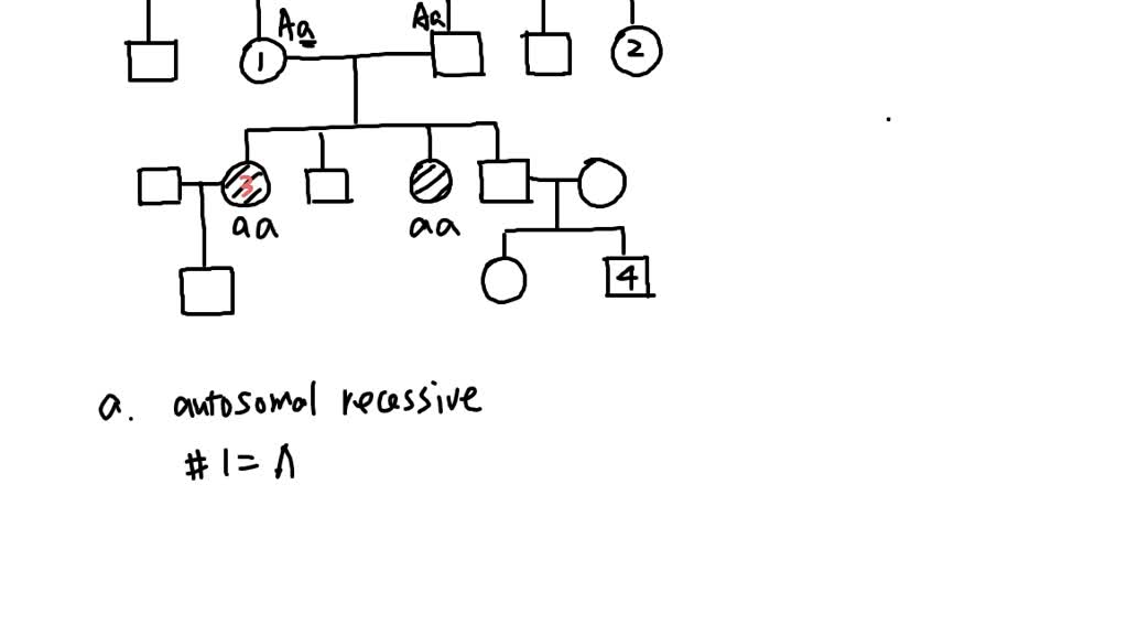 SOLVED: Homework #6 Pedigree Worksheet Complete all of the following ...