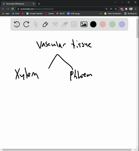 which-of-the-following-statements-about-the-vascular-tissue-system-is-not-true-a-xylem-and-phloem-ar-66343