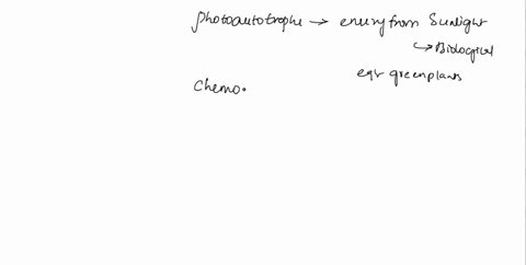 classify-the-energy-and-carbon-sources-for-photoautotrophs-chemoautotrophs-photoheterotrophs-and-chemoheterotrophs-each-characteristic-can-be-placed-multiple-times_-photoautotrophs-chemoauto-34517