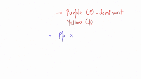 problem-2-the-b-ears-represent-another-monohybrid-cross-involving-the-same-locus-in-problem-1-this-time-though-you-re-not-told-about-the-genotypes-of-the-parents-you-must-deduce-that-from-th-67483