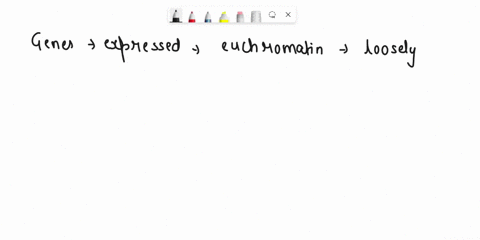 10-in-the-following-sentences-cross-out-one-word-that-does-not-apply-from-each-pair-of-words-2-marks-genes-are-more-likely-to-be-expressed-if-they-reside-in-heterochromatin-euchromatin-which-27238