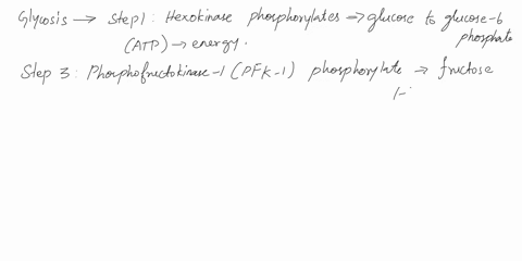 glycolysis-after-digestion-of-carbohydrates-glucose-enters-the-cell-membrane-and-into-the-cytoplasm-glycolysis-takes-place-where-glucose-6-phosphate-a-6c-molecule-is-split-into-two-3c-molecu-68456