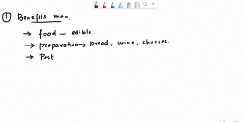 how-do-fungi-benefit-man-the-study-of-fungi-is-called-____-36455