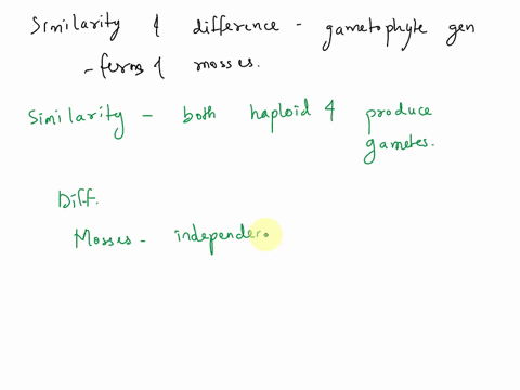 17-how-is-the-gametophyte-generation-in-ferns-similar-to-that-of-mosses-how-is-it-different-aside-from-appearance-18-compare-and-contrast-moss-and-fern-sporophytes-please-type-it-thanks-92356
