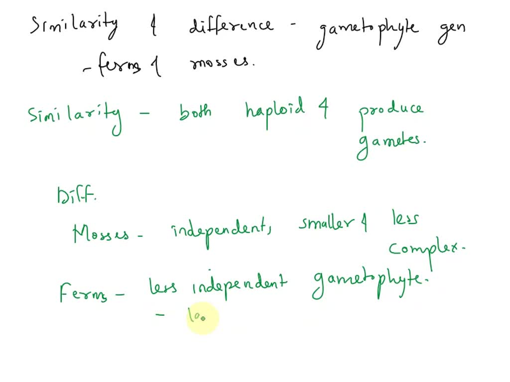 VIDEO solution: 17. How is the gametophyte generation in ferns similar ...