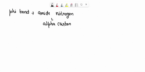 rotation-1-rotation-v-within-v-rotation-about-the-phi-bond-about-choose-result-in-different-protein-about-the-peptide-chemical-the-chaine-the-polypeptide-u-w-w-bond-connecting-the-rtaton-o-4-95599