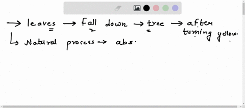 why-do-leaves-fall-down-from-the-tree-after-turning-yellow-11232
