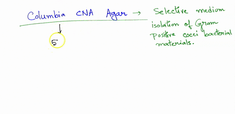 1-if-you-were-to-make-columbia-cna-with-5-sheep-blood-agar-plates-with-twice-as-much-colistin-how-would-the-results-likely-be-affected-select-one-a-less-gram-positive-growth-more-gram-negati-99663
