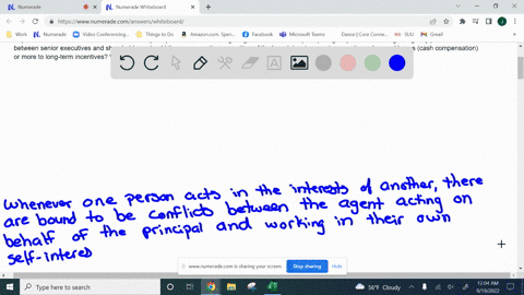 explain-several-dimensions-of-the-shareholder-principal-conflict-with-manager-agents-known-as-the-principal-agent-problem-to-mitigate-agency-problems-between-senior-executives-and-shareholde-55708