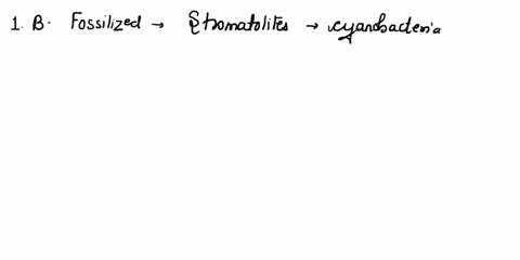 fossilized-stromatolites-a-formed-around-deep-sea-vents-b-resemble-structures-formed-by-bacterial-2-30918