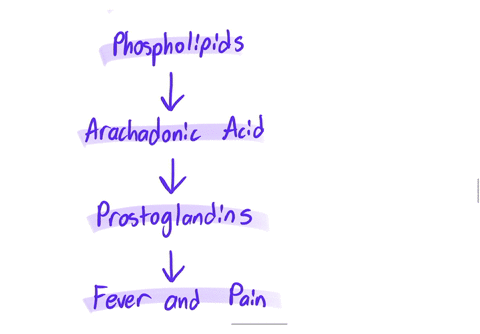 in-regards-to-the-medication-acetamnophen-what-is-the-expected-pharacological-action-and-the-therapeutic-use