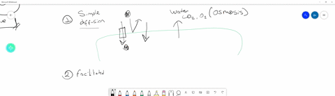 identify-the-type-of-transport-that-would-movethe-following-types-of-molecule-h2o-a-simple-diffusion-b-pinocytosis-c-active-transport-d-phagocytosis-e-osmosis-f-facilitated-diffusion-the-answer-is-not