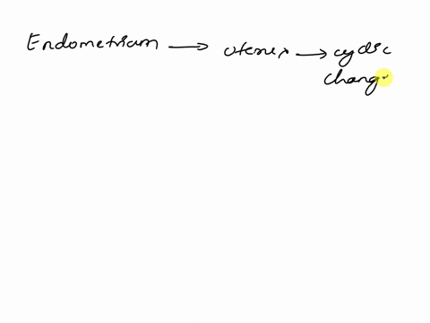 the-inner-lining-of-the-uterus-is-called-the-question-4-options-endometrium-perimetrium-serosa-myometrium-adventitia-42285