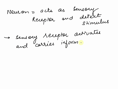if-a-stimulus-is-perceived-by-the-nervous-sytem-which-part-of-the-sensory-pathway-must-occur-49134