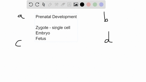 body-organs-first-begin-to-form-and-function-during-the-period-of-the-___________-within-6-months-du-47244