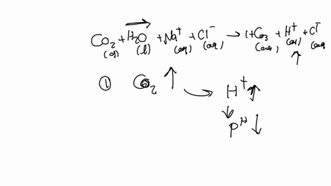 reversible-reaction-to-consider-co2-h2o-nacluana-lag-hco3aq-howchad-note-this-reaction-models-atmospheric-co2-which-dissolves-in-the-ocean-in-a-reversible-reaction-answer-the-following-quest-21704