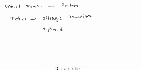 part-a-in-order-to-induce-an-allergic-reaction-penicillin-must-first-covalently-bind-to-____-answer-choices-a-lipids-b-dna-c-rna-d-carbohydrates-e-protein-part-b-which-lactam-drug-is-active-41824