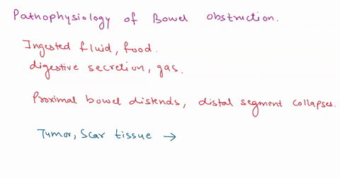 pathophysiology-of-bowel-obstruction-please-at-the-minimal-8-to-10-sentences-63427