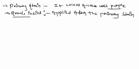 1-read-the-steps-of-the-gram-stain-technique-in-the-introduction-to-procedure-102-explain-the-role-of-each-of-the-reagents-used-in-the-gram-stain-primary-stain-crystal-violet-mordant-grams-i-20895