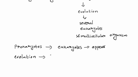 question-6-2-pts-which-of-the-following-events-occurred-first-according-to-our-current-understanding-the-movement-of-the-first-organism-onto-land-the-evolution-of-the-first-prokaryotic-cell-53433