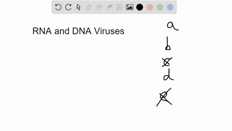 which-of-the-following-statements-is-not-true-concerning-rna-viruses-compared-to-dna-virusesa-rna-viruses-replicate-in-the-nucleus-while-replication-of-dna-viruses-occurs-in-the-cytoplasm-b-38463