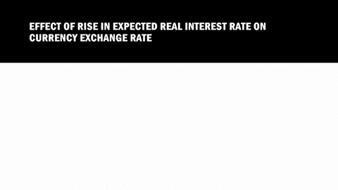 discuss-the-following-statement-when-a-change-in-a-countrys-nominal-interest-rate-is-caused-by-a-r-2-96098