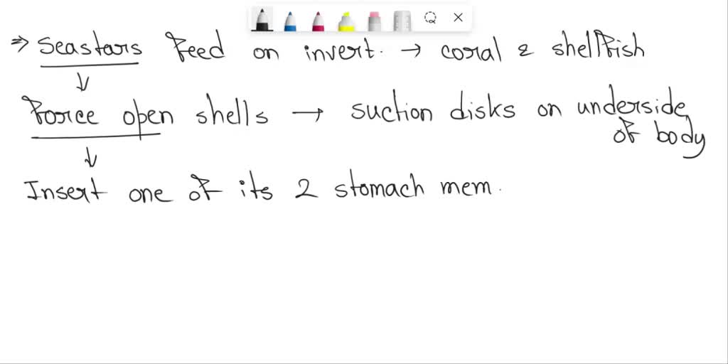 SOLVED Two powerful adductor muscles hold the shells of a clam