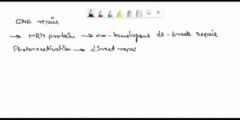 describe-a-dna-repair-mechanism-81442