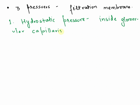 list-and-describe-three-pressures-operating-at-the-filtration-membrane-and-explain-how-each-influences-net-filtration-pressure123please-answer-to-it-correctly-do-not-past-and-copy-from-book-03098