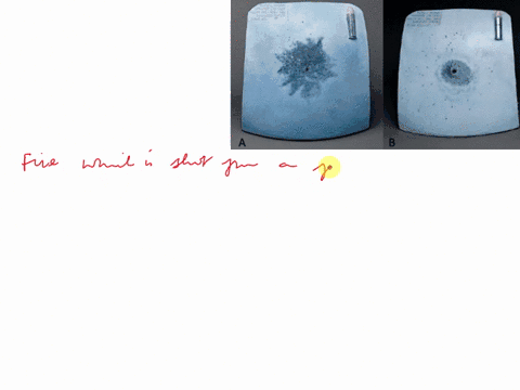 based-on-the-preceding-discussion-which-one-of-these-wounds-was-shot-from-farther-away-in-making-your-decision-consider-all-evidence-of-damage-to-the-soft-tissue-and-its-spread-with-respect-57352