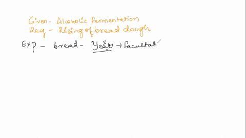 why-does-bread-rise-in-the-process-of-making-it-what-metabolic-process-allows-this-to-happen-and-what-chemical-reaction-in-that-process-causes-bread-to-rise-54416