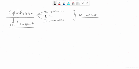 which-technique-below-can-be-used-to-measure-the-mechanical-properties-of-the-cytoskeletal-elements-themselves-a-laser-beams-b-atomic-force-microscopy-c-transmission-electron-microscopy-d-sc-73052