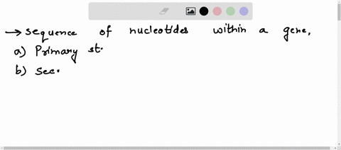 if-you-knew-the-sequence-of-nucleotides-within-a-gene-which-one-ofthe-following-could-you-determine-with-the-most-accuracya-the-primary-structure-of-the-proteinb-the-secondary-structure-of-t-89268