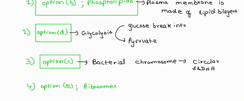 the-plasma-membrane-is-made-of-a-protein-b-phospholipid-c-nucleic-acid-d-carbohydrate-e-enzymes-glycolysis-involves-the-following-event-a-synthesis-of-amines-b-replication-of-rna-c-conversio-78736
