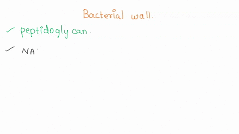 the-bacteria-wall-is-made-up-of-what-35143
