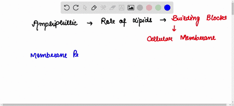 how-can-you-relate-the-structures-and-composition-of-the-cell-membrane-to-its-function-own-words-explanation-50527